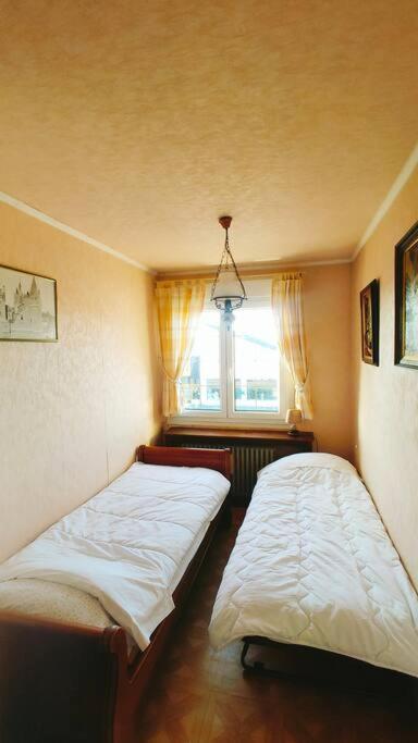 Villa La Cambresienne De Mamie Cambrai Esterno foto